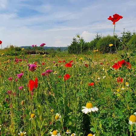 Siedlerhaus Schoenste Aussicht, Naturgarten & Sauna Hébergement de vacances Hohen Demzin