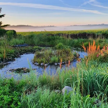 Siedlerhaus Schoenste Aussicht, Naturgarten & Sauna Dom wakacyjny