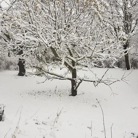 Siedlerhaus Schoenste Aussicht, Naturgarten & Sauna * Hohen Demzin
