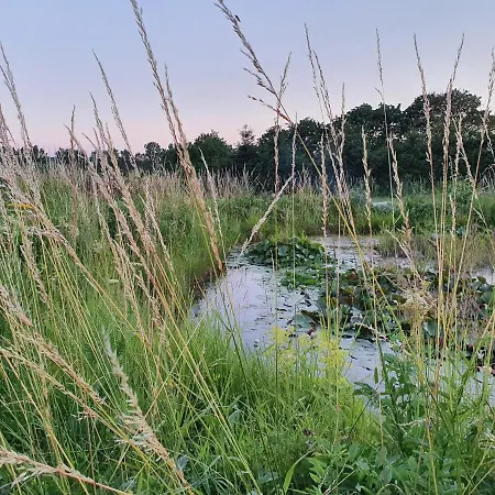 Dom wakacyjny Siedlerhaus Schoenste Aussicht, Naturgarten & Sauna *