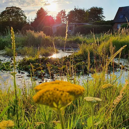 Siedlerhaus Schoenste Aussicht, Naturgarten & Sauna Hébergement de vacances *