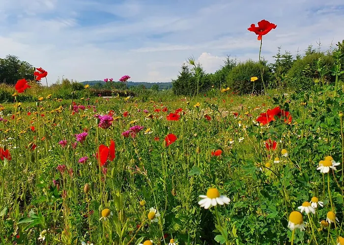 Siedlerhaus Schoenste Aussicht, Naturgarten & Sauna Сasa de vacaciones Hohen Demzin