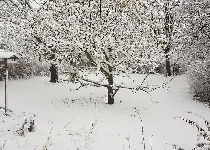 Siedlerhaus Schoenste Aussicht, Naturgarten & Sauna * Hohen Demzin