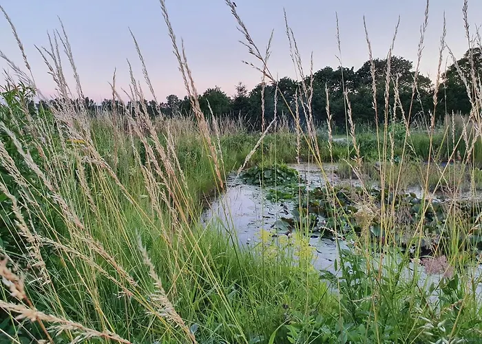 Сasa de vacaciones Siedlerhaus Schoenste Aussicht, Naturgarten & Sauna *