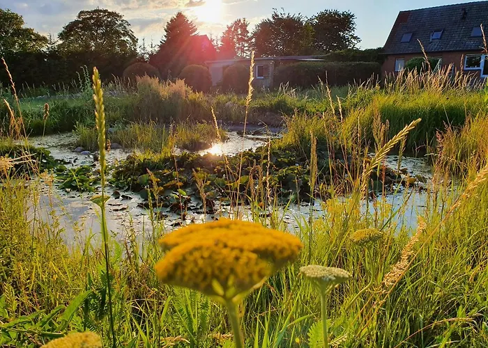 Siedlerhaus Schoenste Aussicht, Naturgarten & Sauna Сasa de vacaciones *